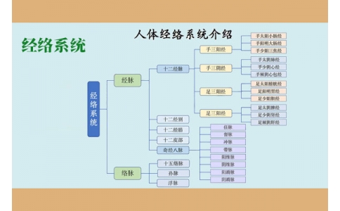 經(jīng)絡系統(tǒng)