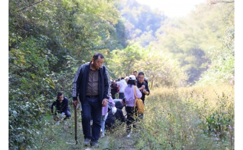 踏秋尋寶，聞香識藥！首屆神農(nóng)杯野外識藥大賽在株洲鳳凰山景區(qū)成功舉辦！