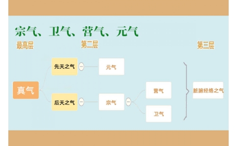 中醫(yī)里的“宗氣”、“衛(wèi)氣”、“營氣”、“元氣”